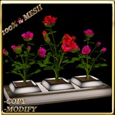 LW_ 3 Mesh Rose Bushes in Planter - Pink Red
