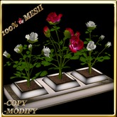 LW_ 3 Mesh Rose Bushes in Planter - White Red