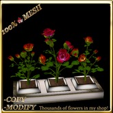 LW_ 3 Mesh Rose Bushes in Planter - Orange Red