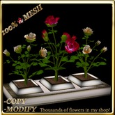 LW_ 3 Mesh Rose Bushes in Planter - Coral Red