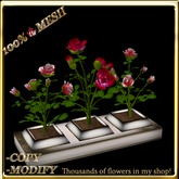 LW_ 3 Mesh Rose Bushes in Planter - Crimson Red