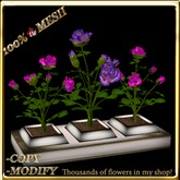 LW_ 3 Mesh Rose Bushes in Planter - Deep Pink Iris