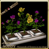 LW_ 3 Mesh Rose Bushes in Planter - Silk Pink Silk Yellow