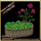 LW_ Mesh Rose Tree with Caladiums in Planter - Bright Pink (2 LI / Prim)