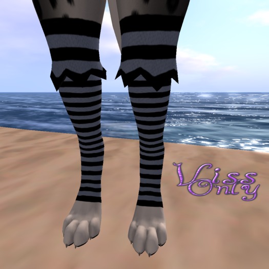Striped Stockings Dark Blue ((BAGGED))