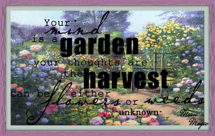 Moon Magic-garden-harvest -boxed