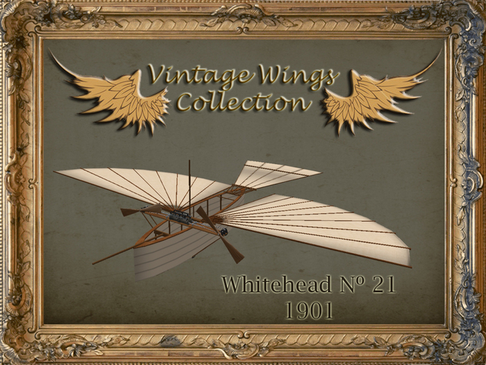 Second Life Marketplace - Vintage Wings - Whitehead No 21 - 1901