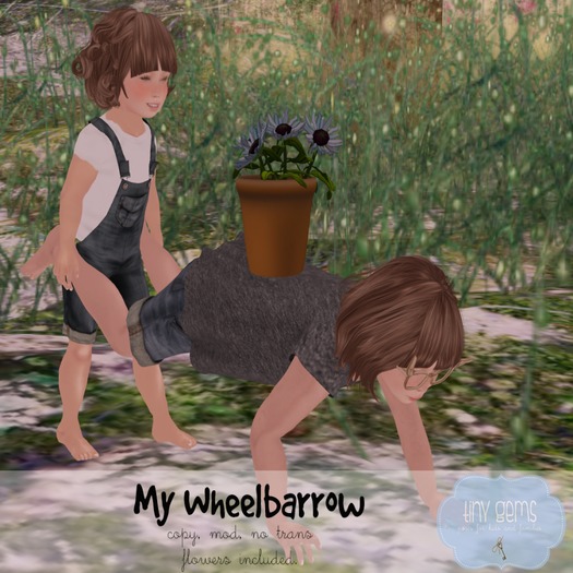 {tg.} - My Wheelbarrow