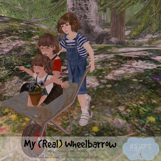 {tg.} - My (Real) Wheelbarrow