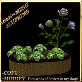 LW_ Mesh Rose Tree with Caladiums in Planter - Purple White 2 (2 LI / Prim)