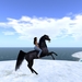 4bdcdc9b6971fe7e110d2d77dec4be72