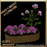 LW_ Mesh Rose Tree with Caladiums in Planter - Deep Pink (2 LI / Prim)