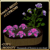 LW_ Mesh Rose Tree with Caladiums in Planter -  Purple White 1 (2 LI / Prim)