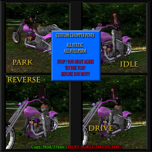 (MMM) Custom Bike Pose Set 4