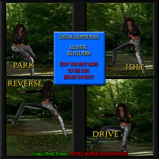 (MMM) Custom Bike Pose Set 1