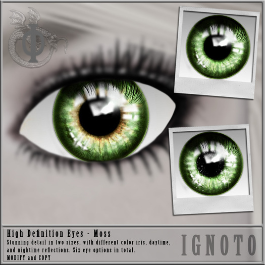 [IGNOTO] HD Eyes Moss