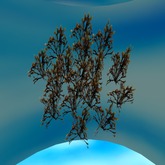 Seaweed Cluster 13 (1 prim)