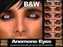 Anemone Eyes Black & White