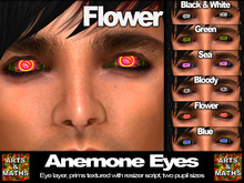 Anemone Eyes Flower