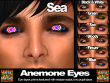 Anemone Eyes Sea