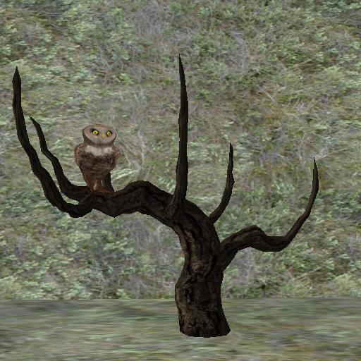 Sassy's Owl Tree