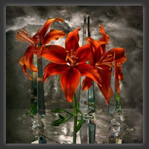 Flowers After A Rain