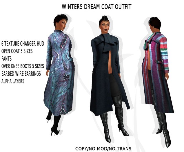 WINTERS DREAM