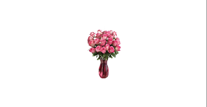 Pink Roses in red vase
