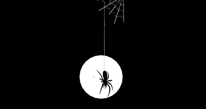 TusK Products Box, Hanging, spinning spider w/web