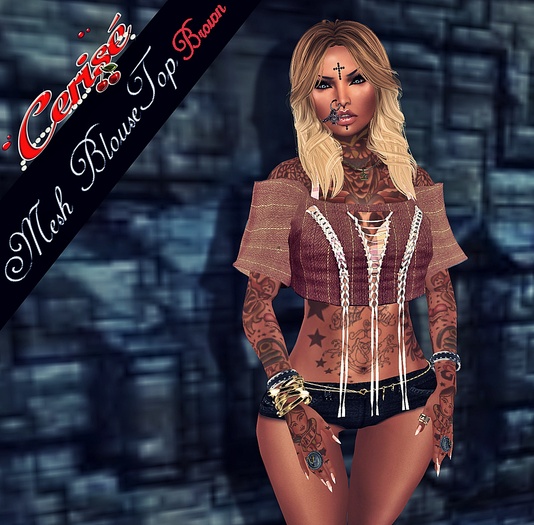 Mesh BlouseTop brown