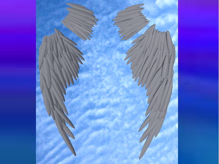 Anthro Wings