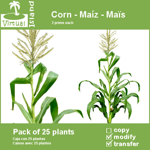 (VI) Corn - Maiz - Mais