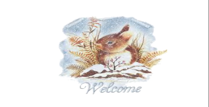 Welcome Sign Winter Rabbit