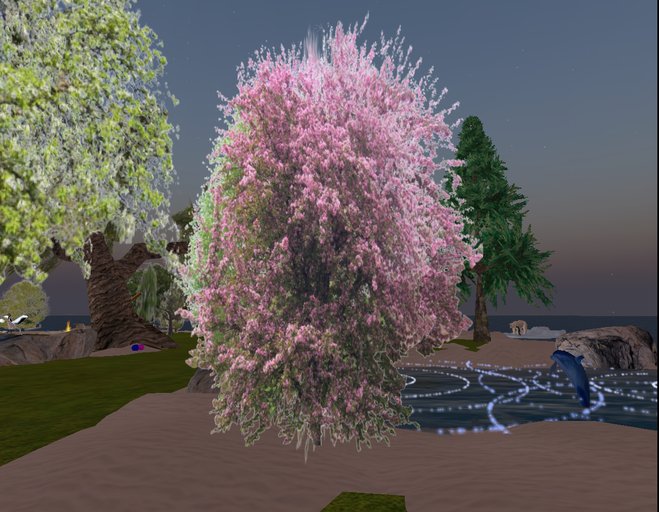 blossoming tree 1