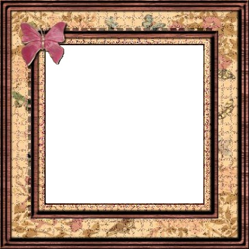 Asian Butterfly Slideshow Frame/Video