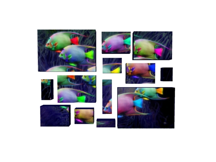 Fractured Art - Neon Fish