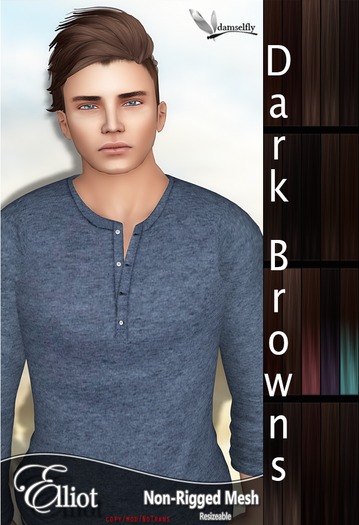 *~*Damselfly*~*Elliot Non-Rigged Mesh Dark Browns