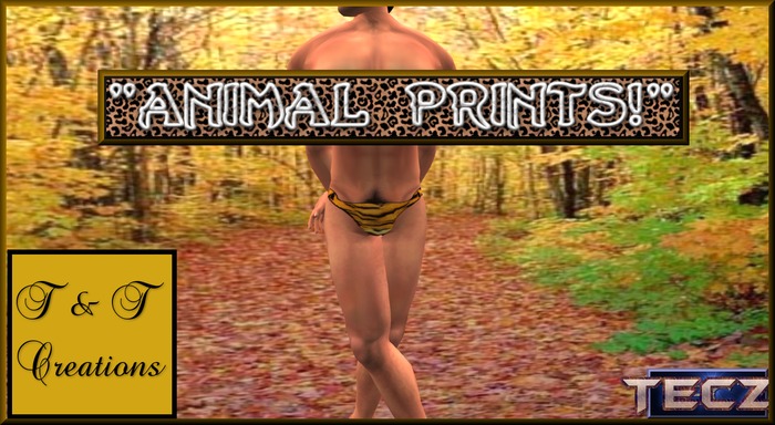 T & T Tiger Print Briefs