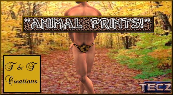 T & T Leopard Print Briefs