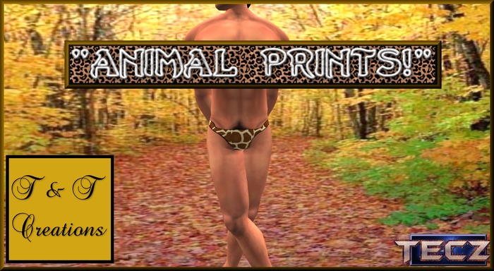 T & T Giraffe Print Briefs
