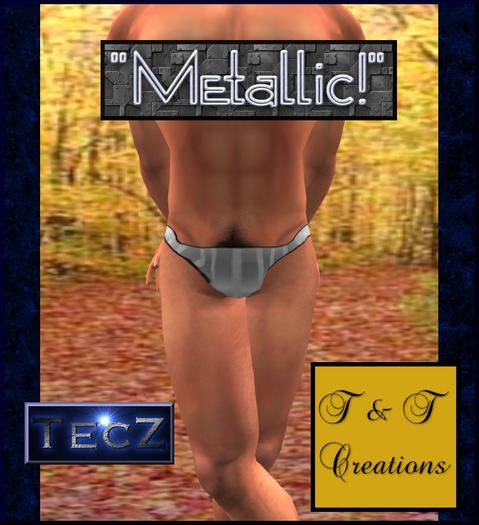 T & T Metallica Briefs Silver