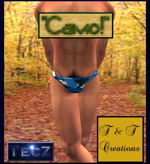 T & T Camo Briefs Blue