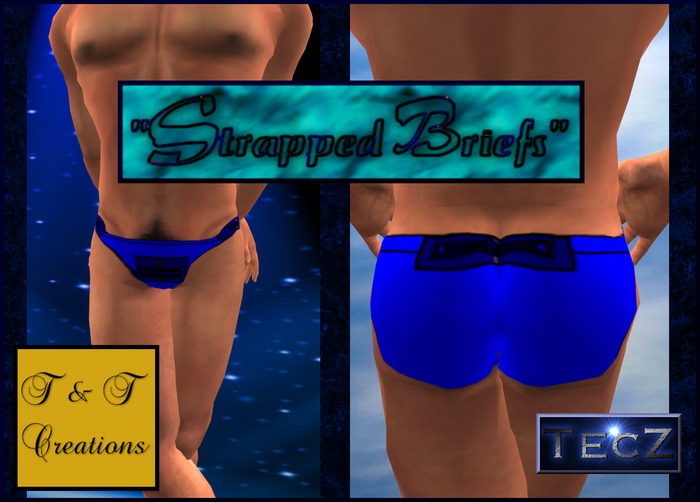 T & T Straps Briefs Blue