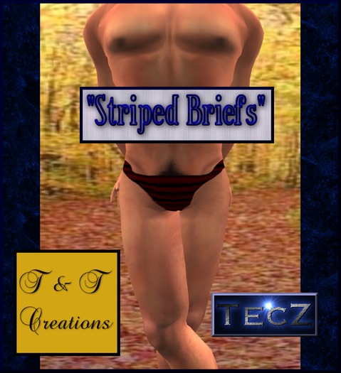 T & T Striped Briefs Blue