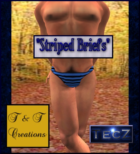 T & T Striped Briefs Light Blue