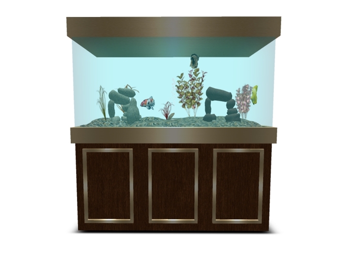 Aquarium - Walnut & Brass