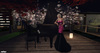 Snapshot 001a