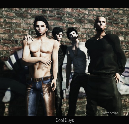 - terra design - Cool Guys