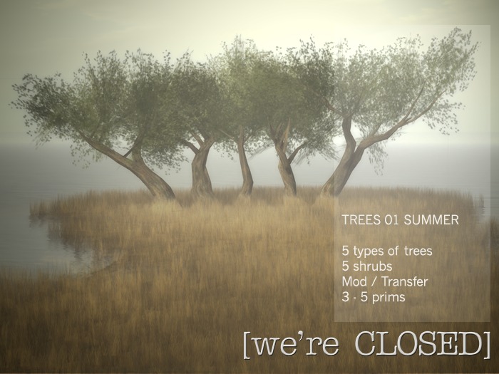 [we're CLOSED] trees 01 summer - transfer