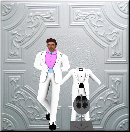 White&Pale Pink/White Tuxedo with L/Blue or Black waist band & Shoes